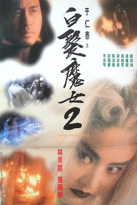 沈栖迟